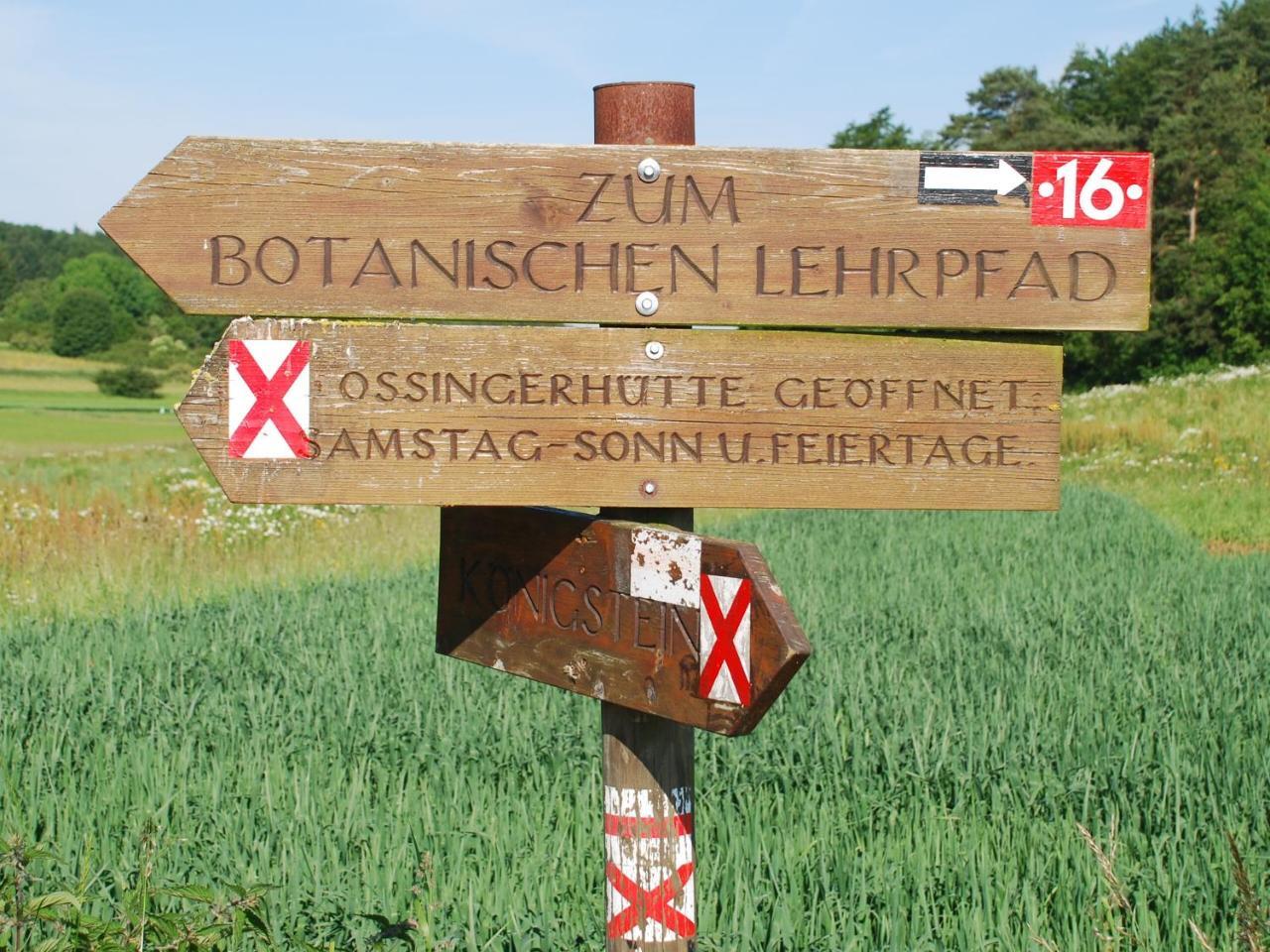 Hotel Koenigsteiner Hof Konigstein in der Oberpfalz Exterior photo